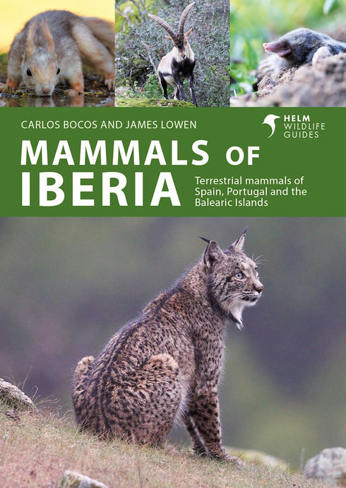 Mammals of Iberia - Bocos Gonzales 2025